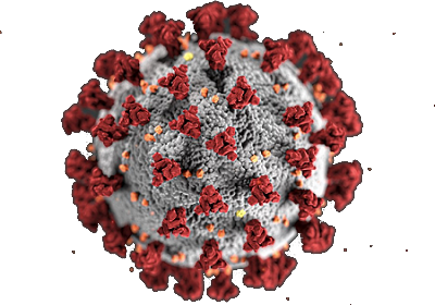 Corona-Virus