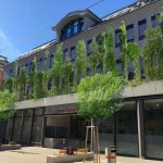 fassade_begrünung